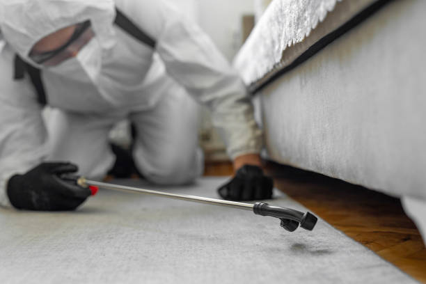 Professional Pest Control technician working in Crouch Mesa, NM
