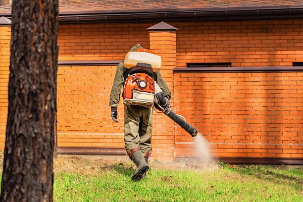 Trusted Rodent Control service in Crouch Mesa, NM - Nex Pest Control